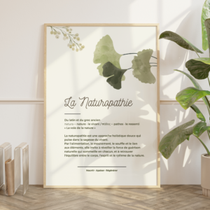 Affiche définition de la naturopathie avec étymologie latine et grecque (natura, pathos), illustration florale feuilles de ginkgo vert sauge, tagline Nourrir Apaiser Régénérer